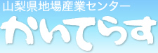 かいてらす(山梨県地場産業センター)